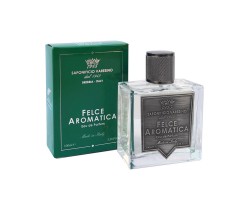 Woda perfumowana Saponificio Varesino Felce Aromatica Eau De Parfum 100 ml