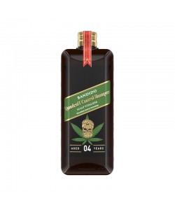 Szampon do włosów Przeciwłupieżowy Bandido Dandruff Control Shampoo 350 ml