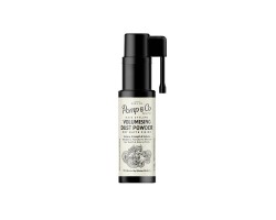 Puder zwiększający objętość włosów Pomp & Co Volumizing Dust Powder 10 g